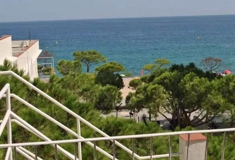 Apartamentos Delfin Aromar 4