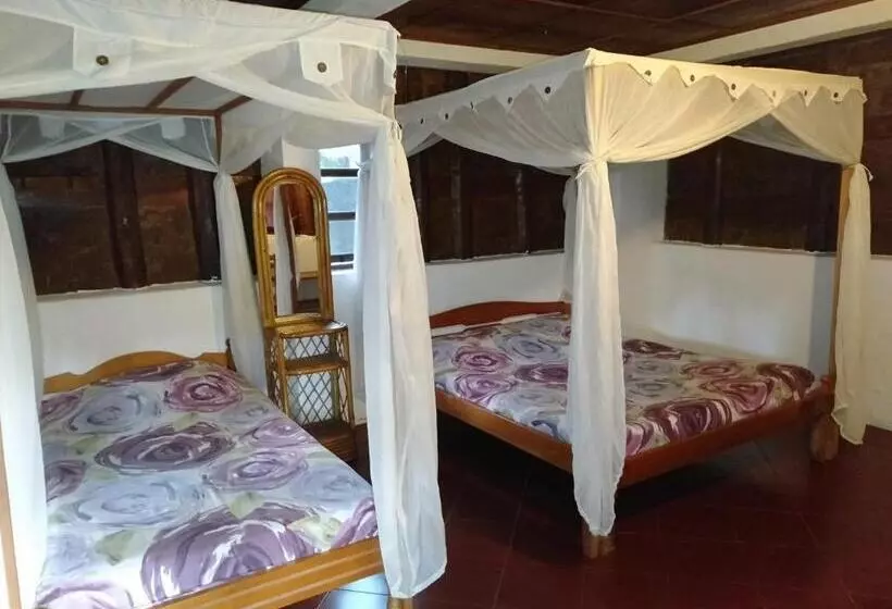 ペンション Bagus Bay Homestay