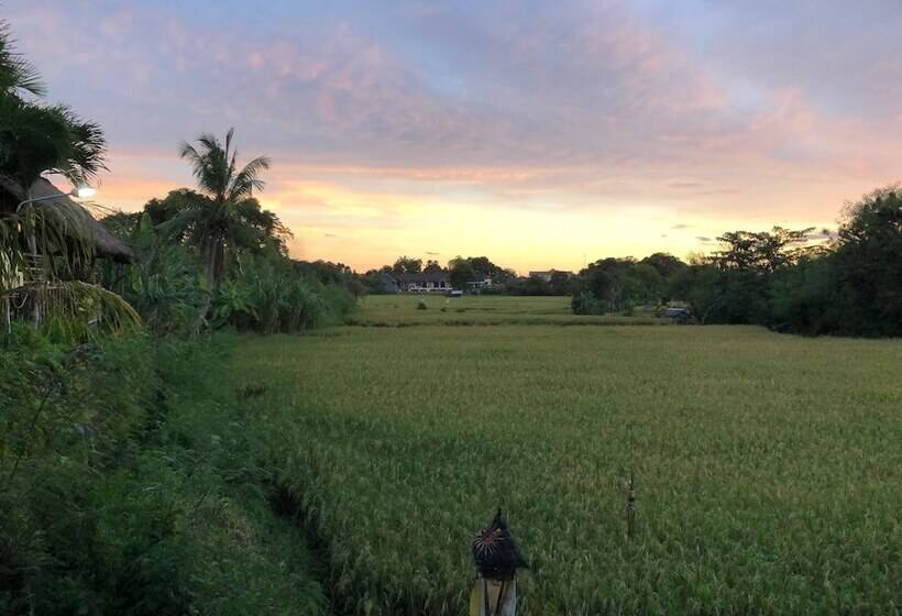 פנסיון Derose Guest House