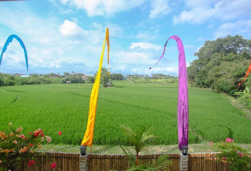 פנסיון Derose Guest House