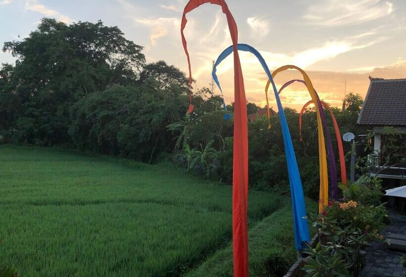 פנסיון Derose Guest House