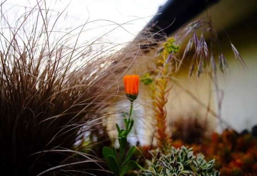 Seagulls Chalet 1, Bridlington