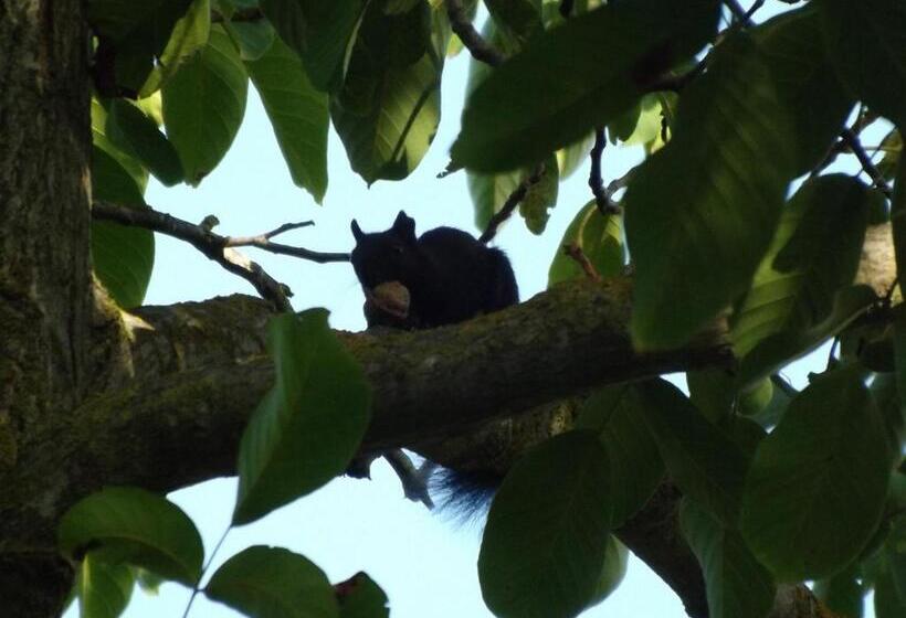 田舎風ホテル Tenuta Del Viandante