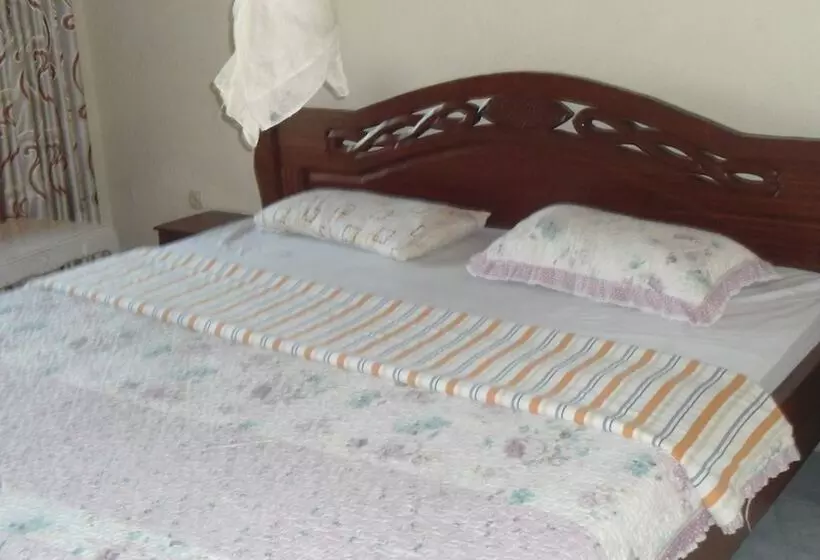 پانسیون Airport Luxury Motel