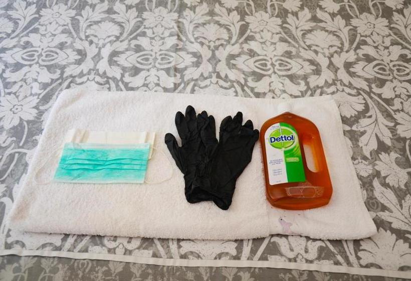 פנסיון Signature Guesthouse Florida