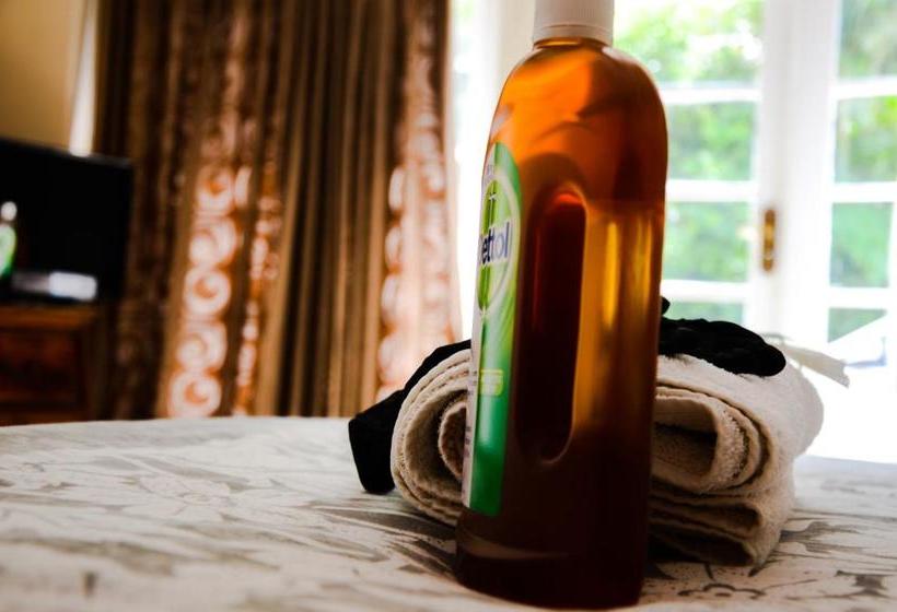 פנסיון Signature Guesthouse Florida