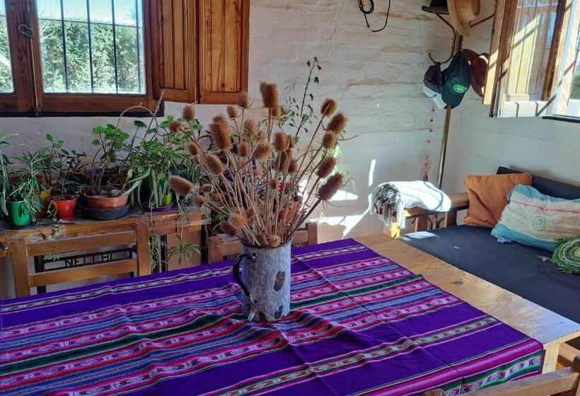 Aire De Barreal Hostel Andino