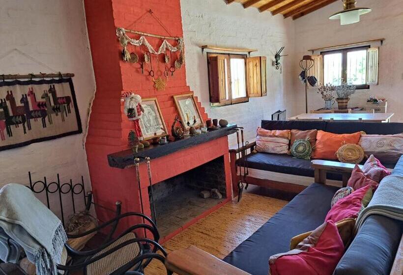 Aire De Barreal Hostel Andino