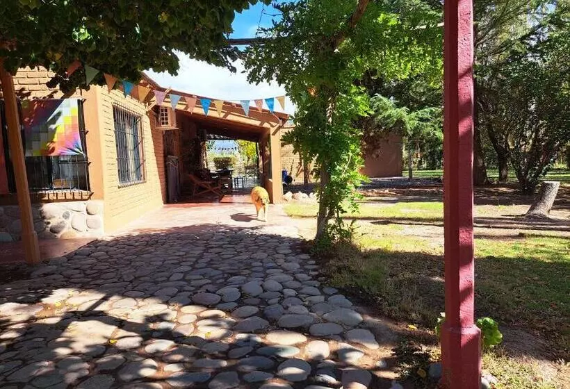 Aire De Barreal Hostel Andino