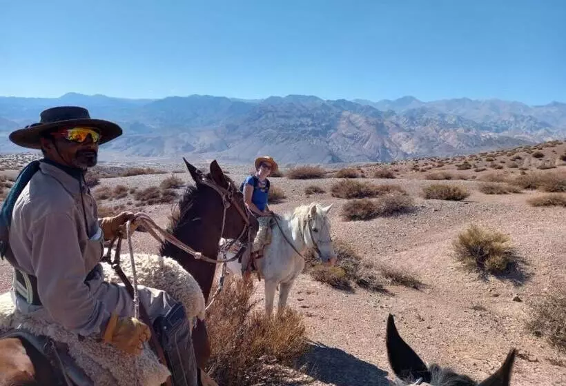 Aire De Barreal Hostel Andino