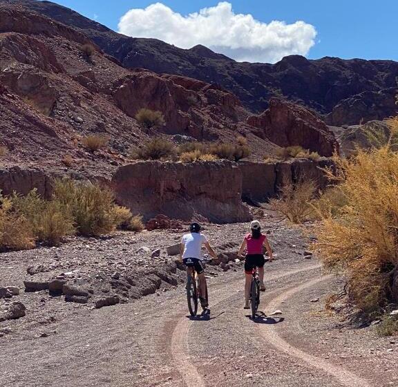 Aire De Barreal Hostel Andino