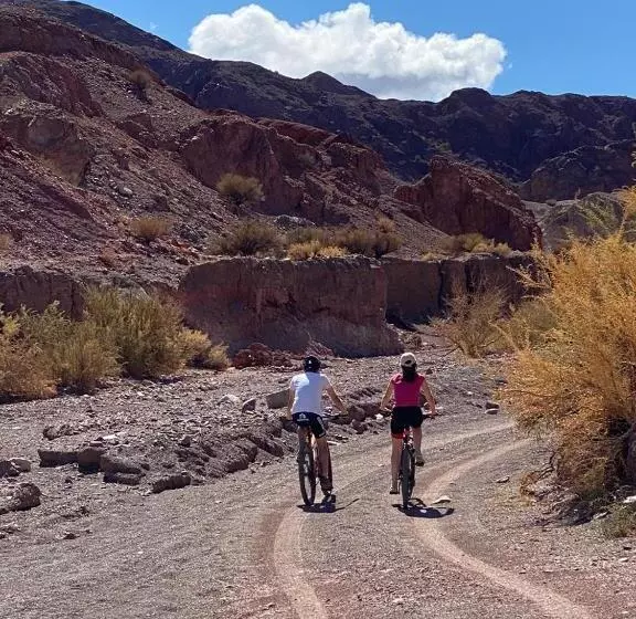 Aire De Barreal Hostel Andino