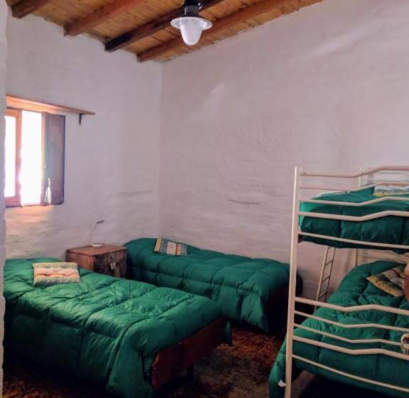 Aire De Barreal Hostel Andino