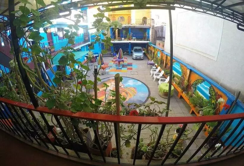 هاستل Hostal Florencia