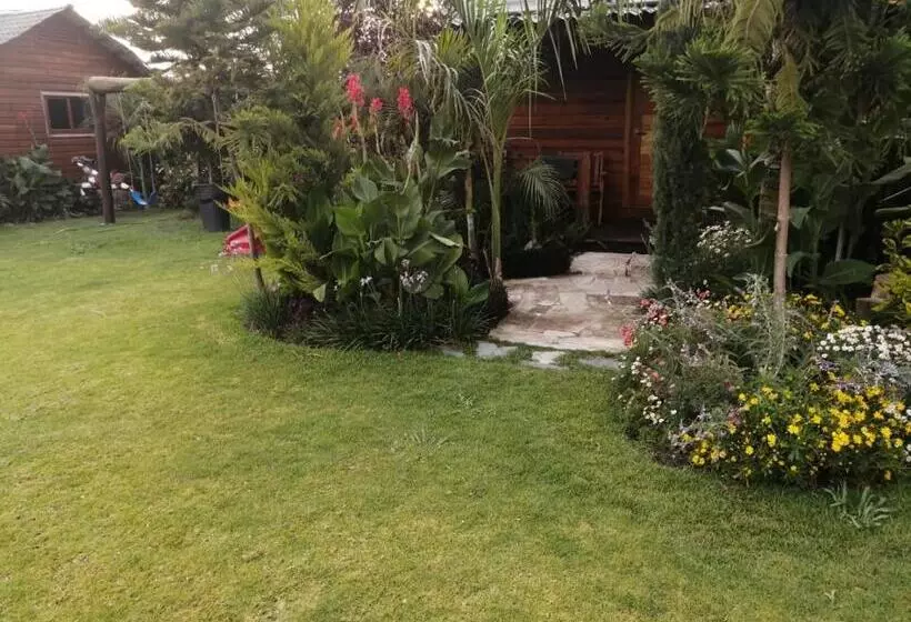 ホテル Cabañas La Finca 2