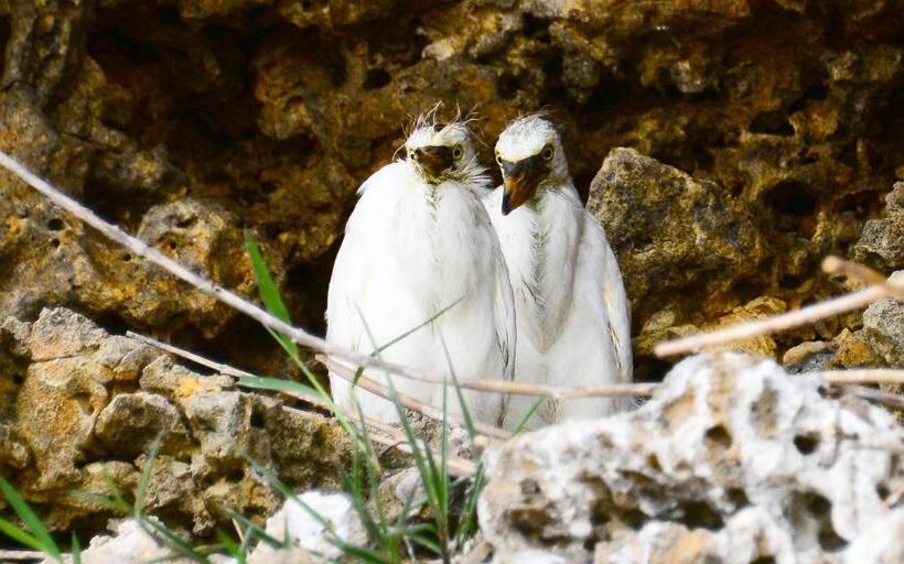 אתר נופש Sou東恩納