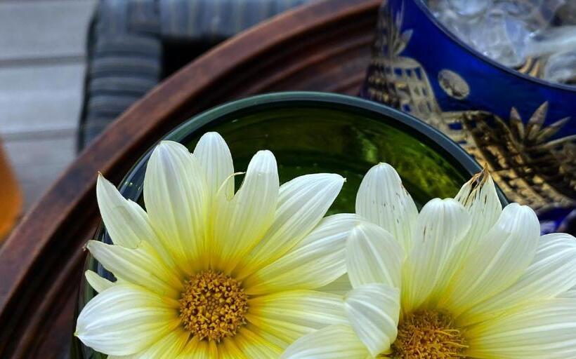 אתר נופש Sou東恩納