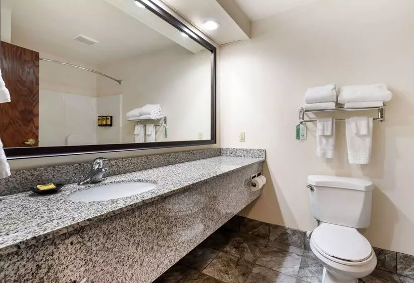 هتل Best Western Plus Eau Claire Conference Center