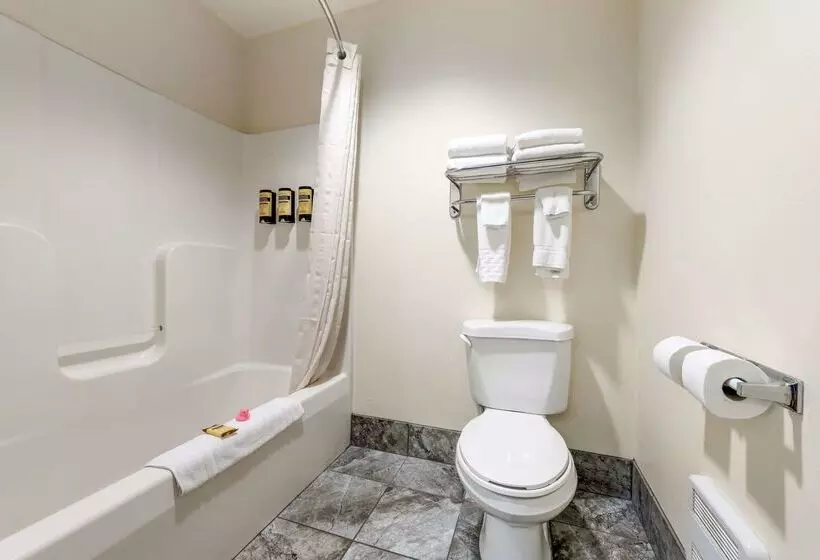 هتل Best Western Plus Eau Claire Conference Center