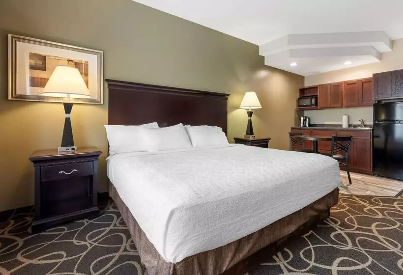 هتل Best Western Plus Eau Claire Conference Center