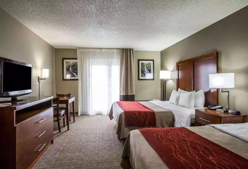 酒店 Comfort Inn & Suites At Dollywood Lane