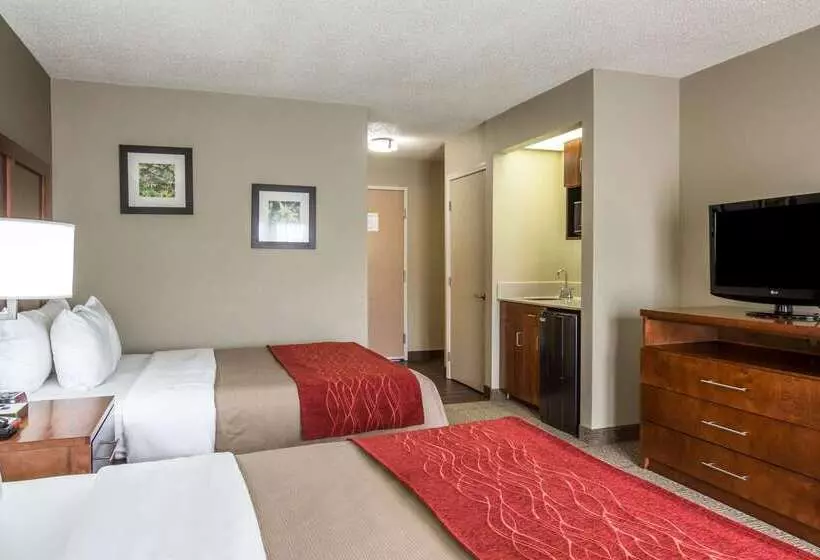 酒店 Comfort Inn & Suites At Dollywood Lane