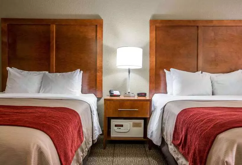 酒店 Comfort Inn & Suites At Dollywood Lane