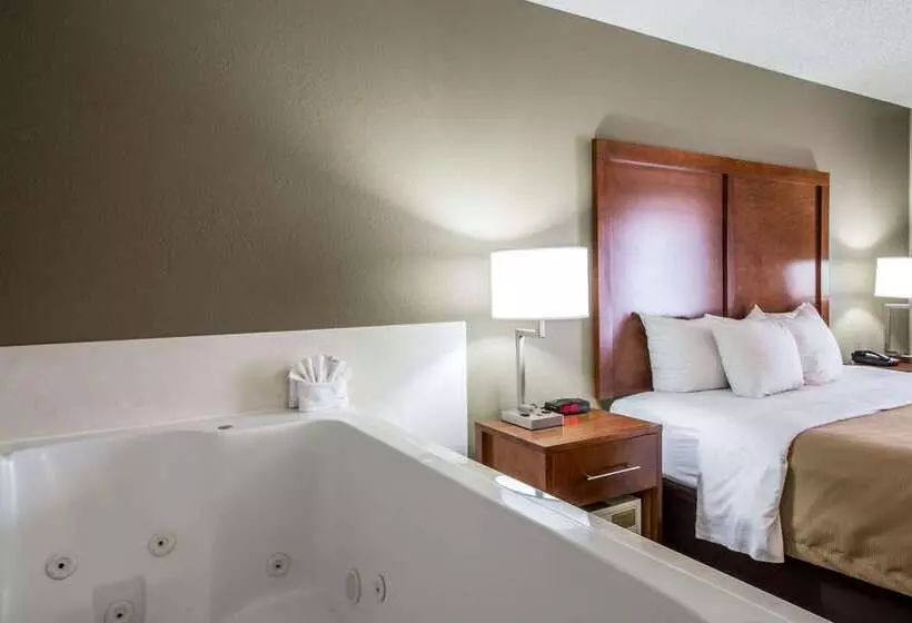 酒店 Comfort Inn & Suites At Dollywood Lane