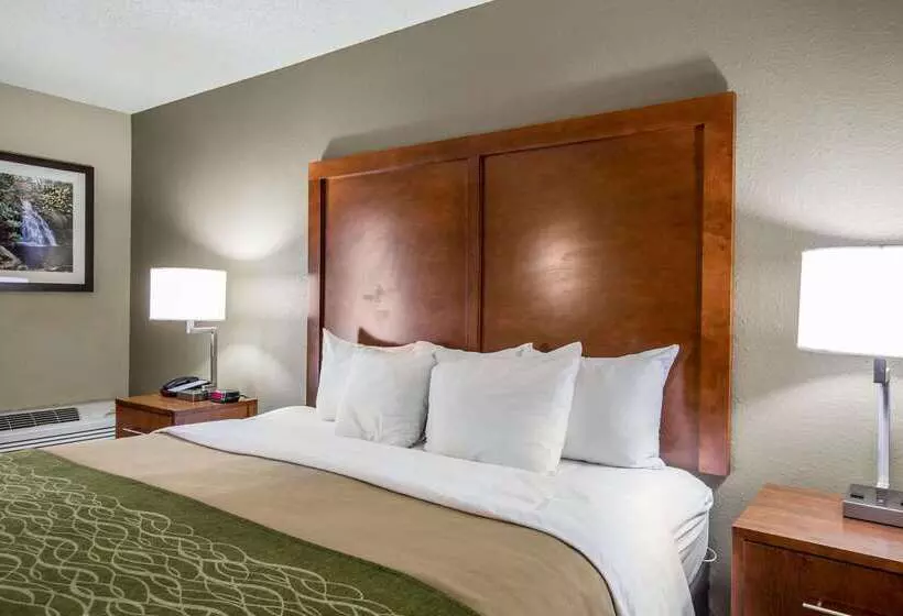 酒店 Comfort Inn & Suites At Dollywood Lane