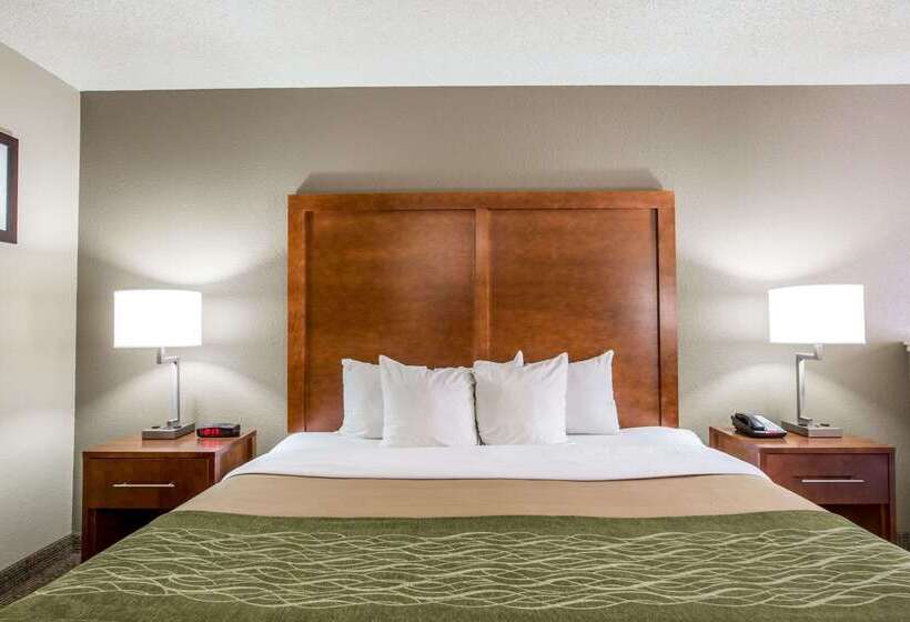 فندق Comfort Inn & Suites At Dollywood Lane