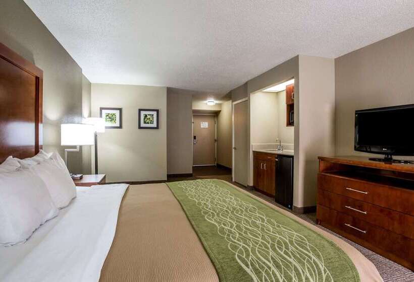 فندق Comfort Inn & Suites At Dollywood Lane