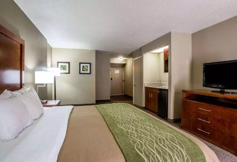 酒店 Comfort Inn & Suites At Dollywood Lane