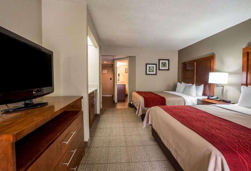 فندق Comfort Inn & Suites At Dollywood Lane