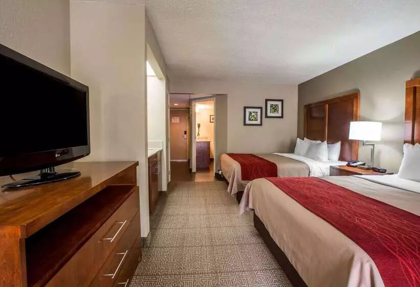 酒店 Comfort Inn & Suites At Dollywood Lane