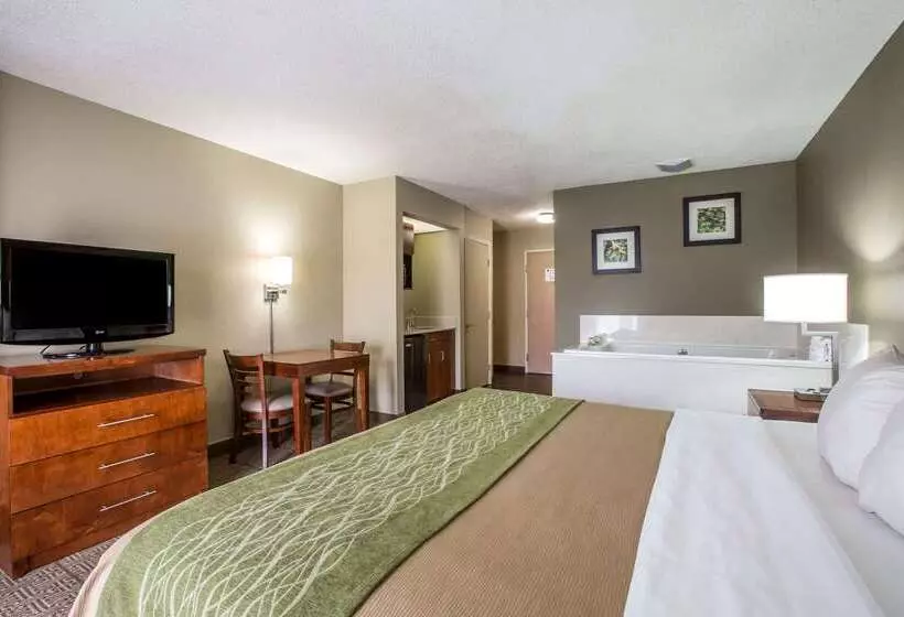 酒店 Comfort Inn & Suites At Dollywood Lane