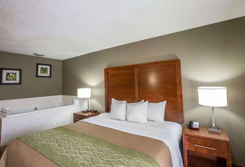 فندق Comfort Inn & Suites At Dollywood Lane