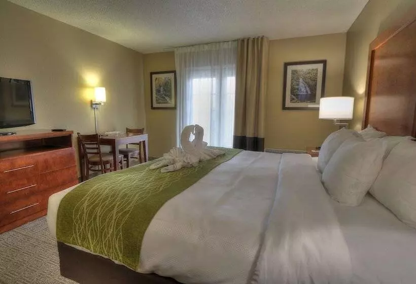 酒店 Comfort Inn & Suites At Dollywood Lane