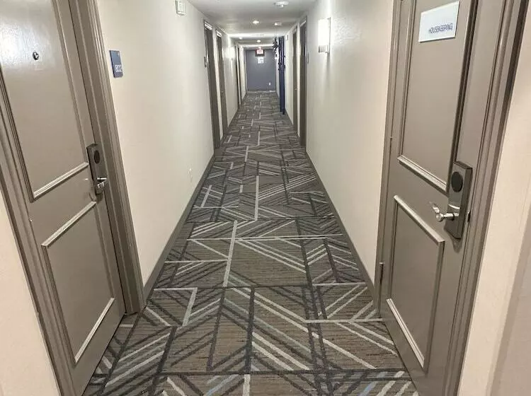 酒店 Holiday Inn Express   Dallas Downtown, An Ihg