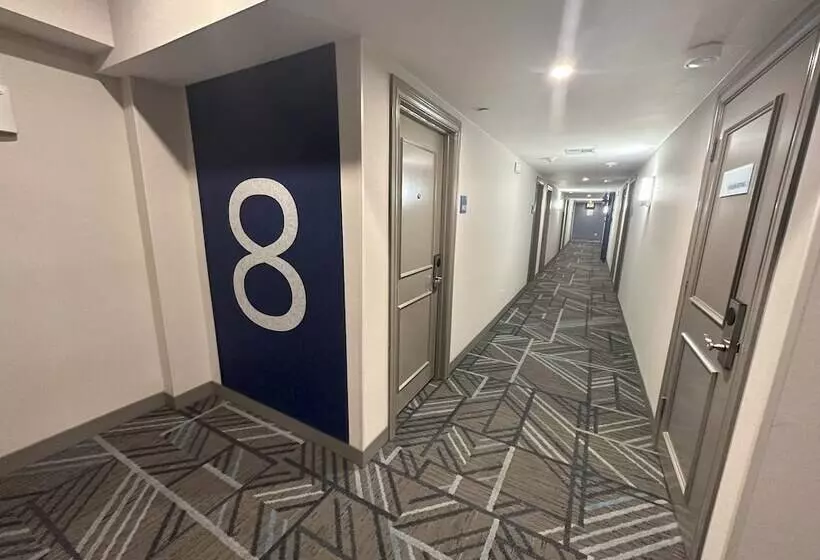 酒店 Holiday Inn Express   Dallas Downtown, An Ihg