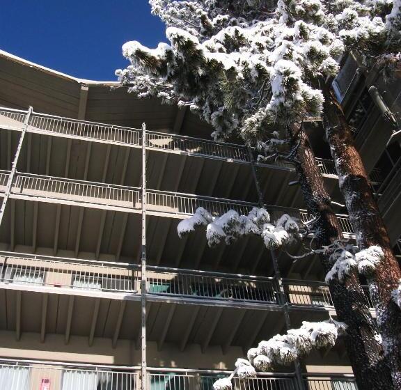 هتل Pepper Tree Inn Tahoe City