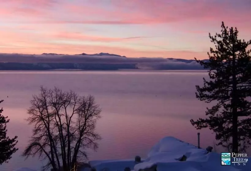 فندق Pepper Tree Inn Tahoe City