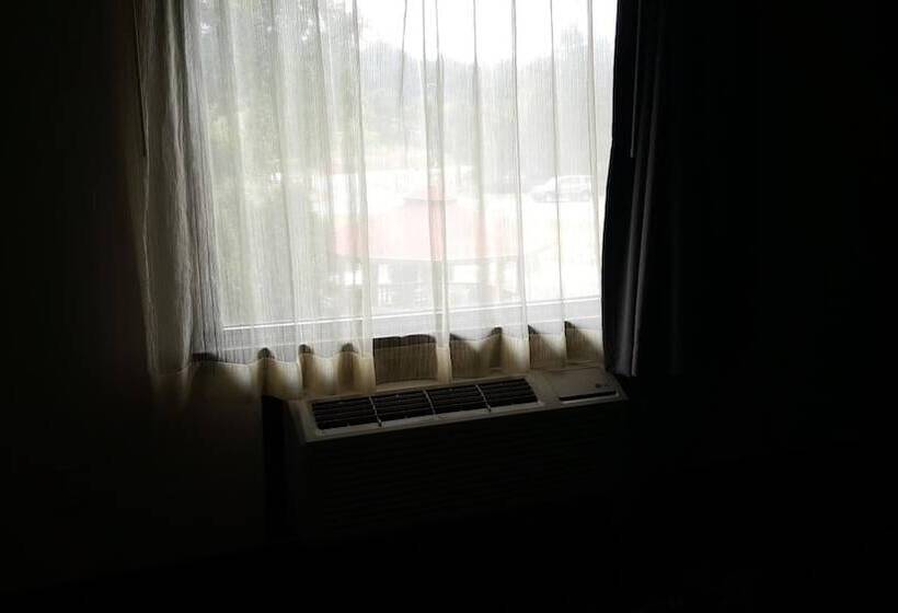 מוטל Aartpark Hotel Inn At Lewsiton