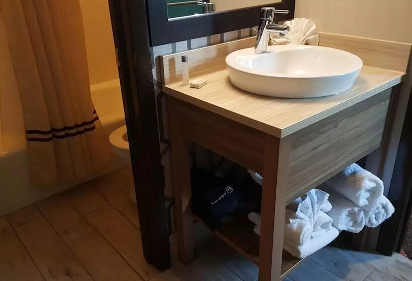 モーテル Aartpark Hotel Inn At Lewsiton