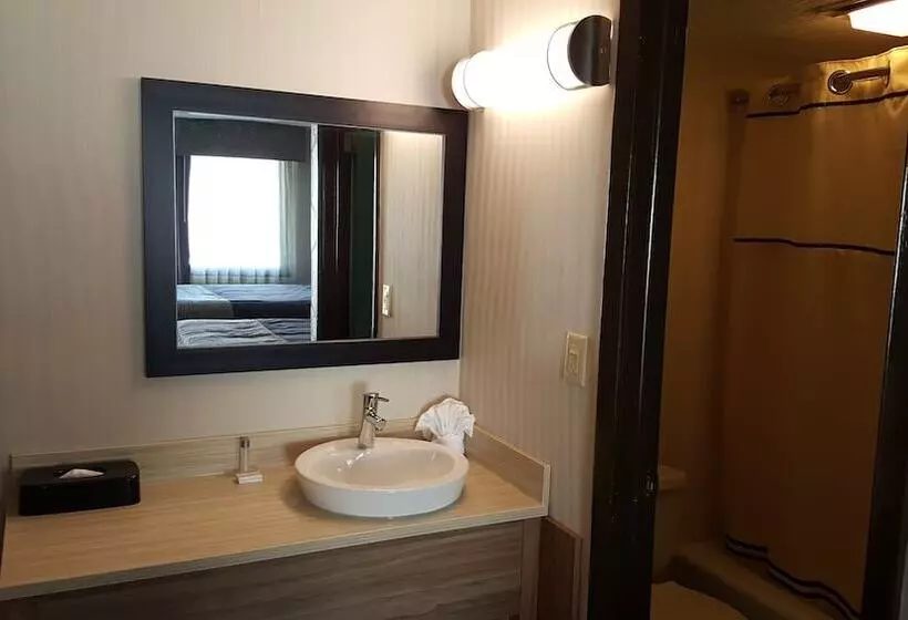 モーテル Aartpark Hotel Inn At Lewsiton