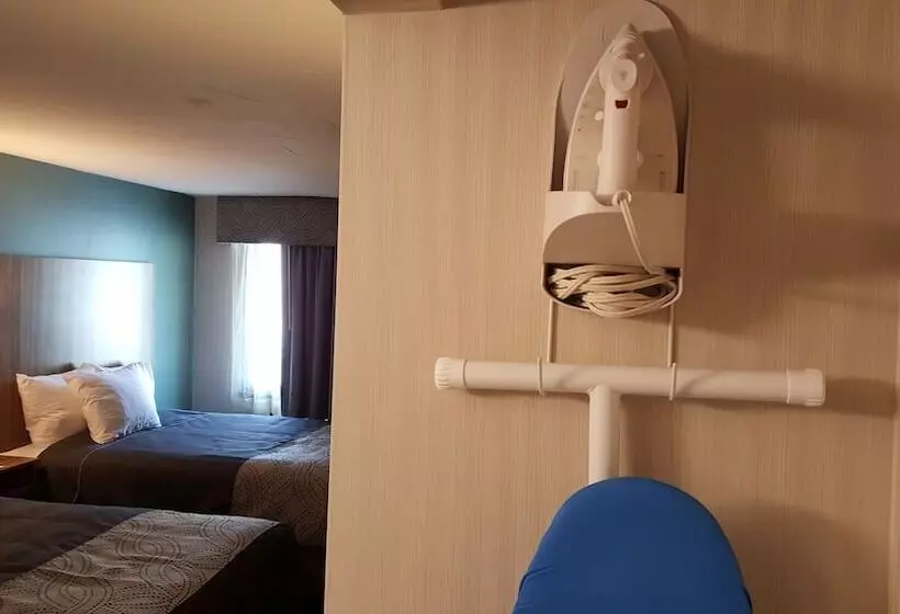 モーテル Aartpark Hotel Inn At Lewsiton