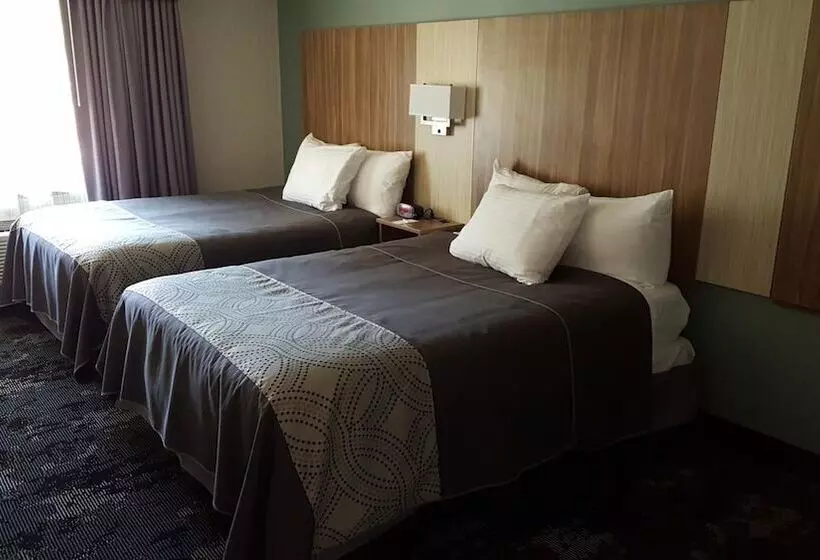 モーテル Aartpark Hotel Inn At Lewsiton