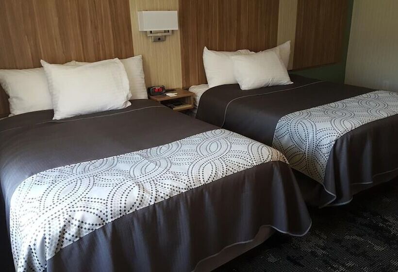 מוטל Aartpark Hotel Inn At Lewsiton