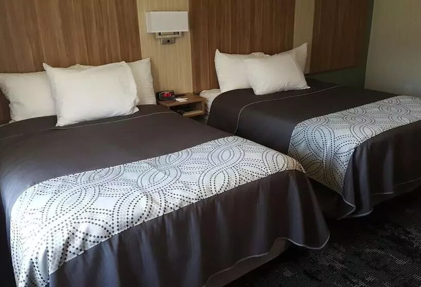 モーテル Aartpark Hotel Inn At Lewsiton