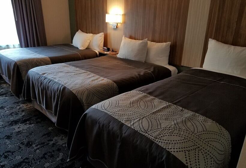 מוטל Aartpark Hotel Inn At Lewsiton