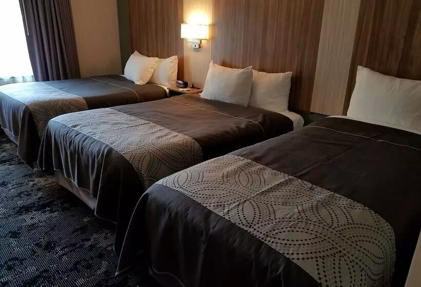 モーテル Aartpark Hotel Inn At Lewsiton